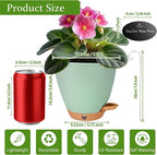 6 Inch Self Watering Pots for Indoor Plants – Small Plastic Planters - Image 5