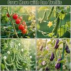 Miory Cucumber Trellis for Raised Beds, 32 x 63 Inch Metal U-Frame Garden - Image 7