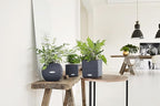 Lechuza Puro Color 20 Slate, Self-Watering Small Indoor Planter, D7.9 H6.3 in - Image 6
