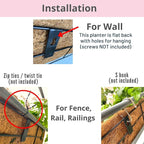 LaLaGreen Wall Mounted Planters - Image 4