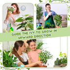Nuenen 5 Pack Indoor Plant Trellis - Image 3