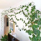 2 Pack 36pcs Chain Trellis for Climbing Plants Indoor & Outdoor, Garden Wall - Image 8