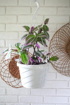 The HC Companies 12 Inch Euro Hanging Planters, Lightweight UV-Resistant - Image 5