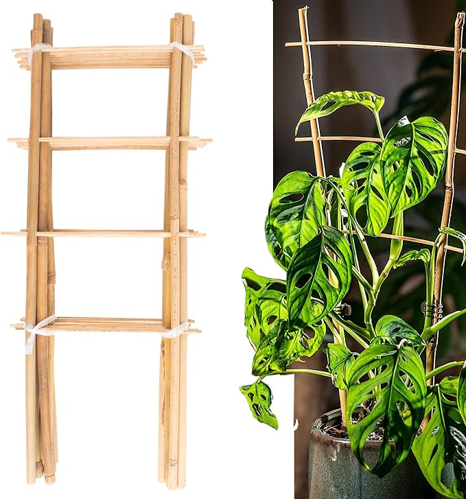 Avalution 10 Pack Natural Bamboo Trellis by Avalution