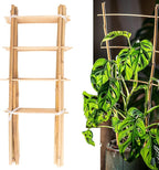 Avalution 10 Pack Natural Bamboo Trellis by Avalution