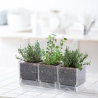 D'vine Dev Herb Garden Planter Set, Plastic Plant Pots - Image 4
