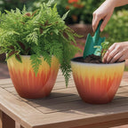 Plant Pots Pack of 4, 8 inch Plastic Flower Pots, Modern Glossy Finishing - Image 6