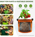Grow Bags, 7 Pack Colorful 10 Gallon Grow Bags, Reusable Fabric Grow Bags - Image 3