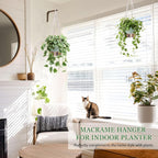 10 Inch Hanging Planters for Indoor Plants, 2 Pack Self Watering Hanging - Image 3