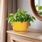 G EPGardening Ceramic Plant Pot - Image 7