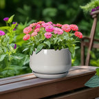 G EPGardening Ceramic Pots for Plants - Image 4