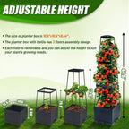 2 Packs Raised Garden Bed Tomato Planter Box - Image 5