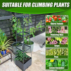 2 Packs Raised Garden Bed Tomato Planter Box - Image 6