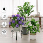 5 Pack Metal Plant Stand Heavy Duty Metal Plant Shelf - Image 4