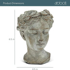 Abbott Collection Goddess Head Planter – Extra Small Cement Indoor and Outdoor - Image 5