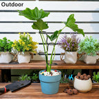3PCS Indoor Plant Support Stakes - Image 5