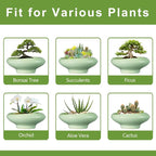 Ceramic Bonsai Pots - Image 7