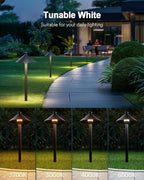 Lumary Smart Low Voltage Pathway Lights 24V 2000LM, Landscape Path Lights - Image 5