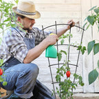 4 Pack 32'' Indoor Plant Trellis - Image 3