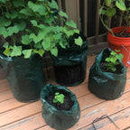 JJGoo 2 Pack 10 Gallon Garden Potato Grow Bags - Image 6