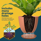 Terracotta Plant Pots with Drainage Holes & Saucers 5 Pack, Indoor & Outdoor - Image 6