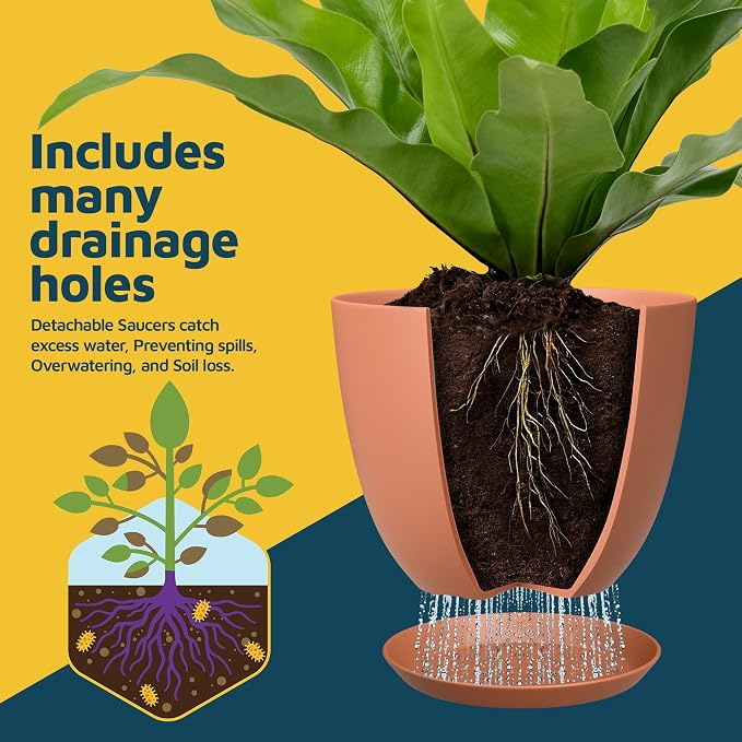 Terracotta Plant Pots with Drainage Holes & Saucers 20 Pack, Indoor & Outdoor - Image 6