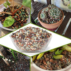 Succulent Pots, 10 Inch Large Succulent Planter Pots - Image 5