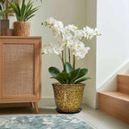 12 Inch Plant Pot - Image 5