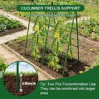 2-Pack A-Frame Cucumber Trellis - Image 4