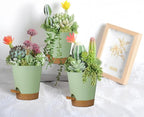 12 Pack 4 Inch Self Watering Plant Pots - Image 6