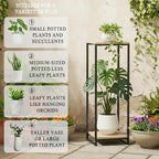 34" Tall Plant Stand Indoor, 2-Tier Modern Plant Shelf, Corner Flower Pot - Image 4