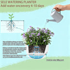 Set of 4-8 Inch Self Watering Hanging Planters - Image 9