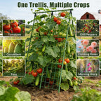 Miory Cucumber Trellis for Raised Beds, 2 Pack 32x48" A-Frame Garden Trellis - Image 7