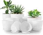 Utopia Home - Spotty Plant Pots Indoor - 7/6.6/6/5.3/4.8 Inches Flower Pots - by UTOPIAHOME
