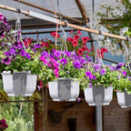 Roshtia 50 Pcs 5.9 inch Plastic Hanging Plant Pots - Image 5