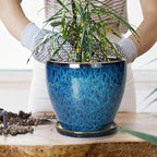 8 Inch Ceramic Planter Pot - Image 4