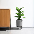 Veradek Demi Series Round Planter w/ Stand - Image 4
