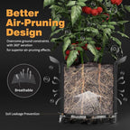 Self-Watering Grow Bags, for Low Stress Plant Training Fruits, Vegetables - Image 3