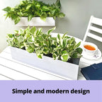 LaLaGreen Wall Planter Carbon Steel White Metal Hanging Flower Pot - Image 4