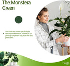 Stackable Plant Support Stakes, Indoor & Outdoor Houseplant Stem Support - Image 5