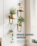 Bamworld Wall Plant Holder Wall Planters - Image 2
