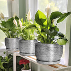 SQOWL Ceramic Pot for Plants - Image 6