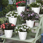 6 Pack 7 Inch Indoor Plant Pots - Image 6