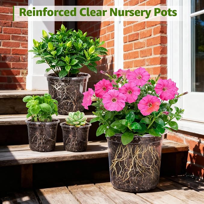 MIXC Clear Nursery Pots with Drainage Holes, 5/4/3.5 Inch Reinforced - Image 6