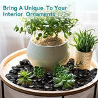 30 lbs Black Rocks for Planters, Polished Garden Stones for Outdoor Landscaping - Image 5