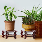 Geetery 2 Pcs 4 to 12 in Wooden Plant Stands Indoor Chinese Oriental Plant Stand - Image 7