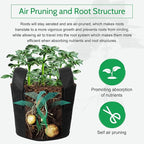JERIA 12-Pack 2 Gallon Grow Bags, 300G Thickened Nonwoven Garden Pots, Heavy - Image 5
