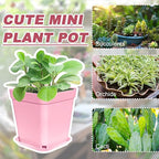 Anyumocz 70 PCS 3" Colorful Plastic Plant Pots, Plastic Square Nursery Pot - Image 4