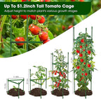 6 Pack Tomato Cages for Garden, Heavy Duty Adjustable Tomato Stake Support for - Image 3