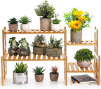 Lawei 2 Tier Bamboo Tabletop Plant Stand, Adjustable Flower Pot Holder Shelf - Image 3